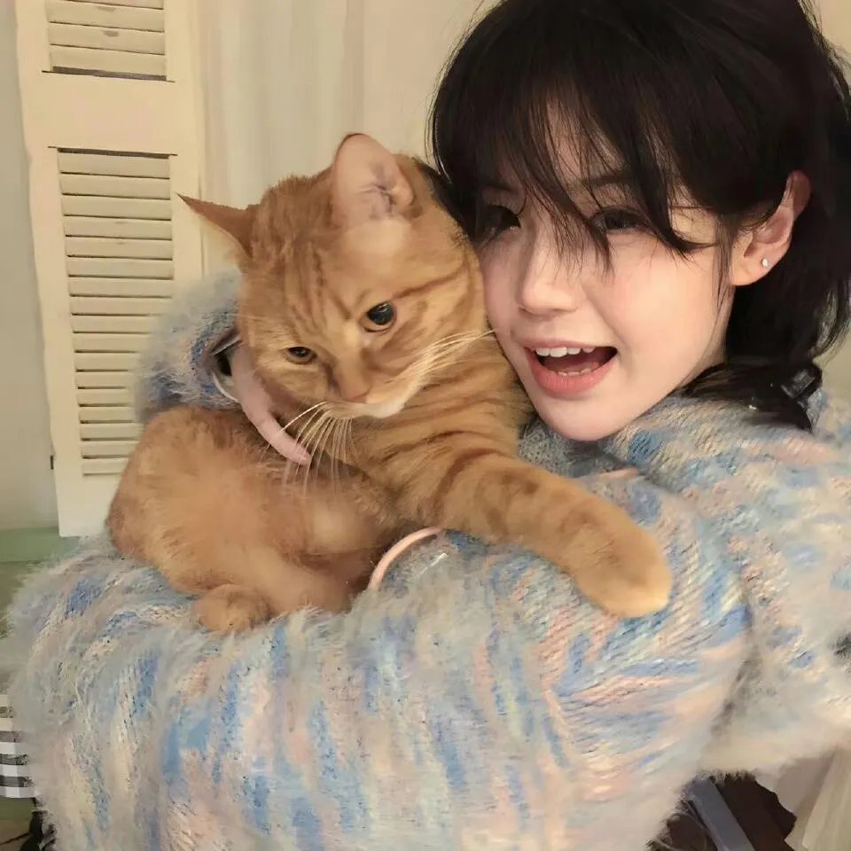 干支魂：猫客万来